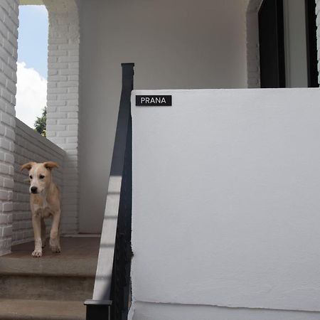 Casa Naamja Hotell Tepoztlán Exteriör bild